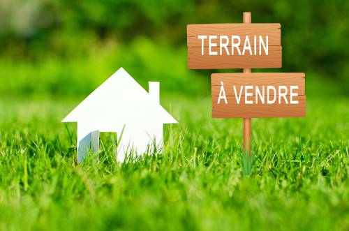 Cedric V Immobilier