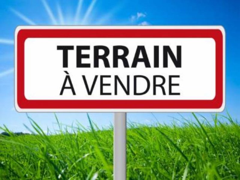 Cedric V Immobilier